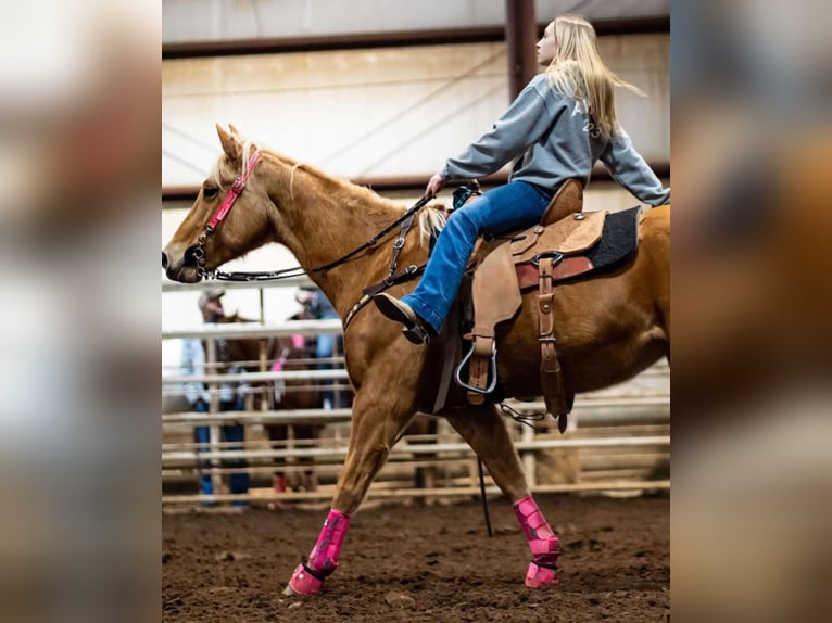 American Quarter Horse Klacz 10 lat 150 cm Izabelowata in Macon, MO