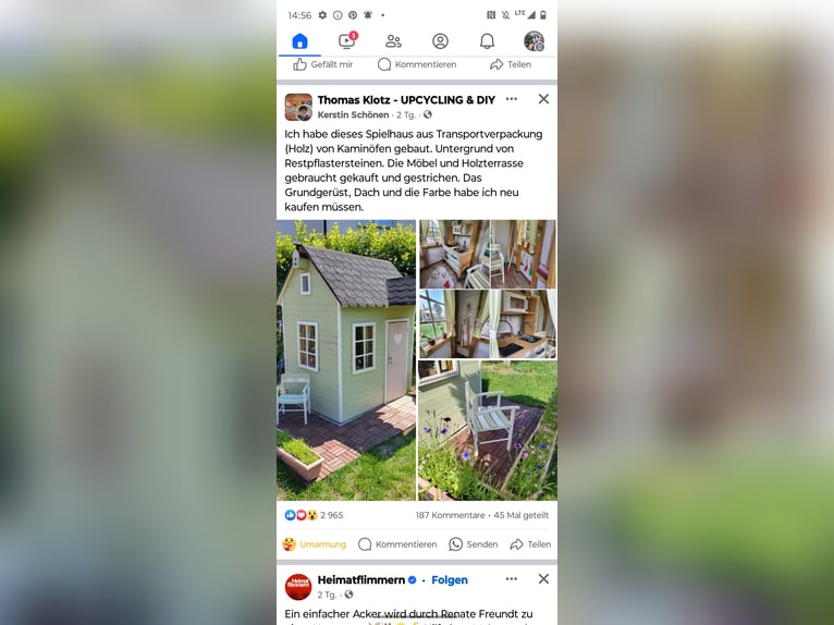 American Quarter Horse Klacz 11 lat 151 cm Izabelowata in SulzbergSulzberg