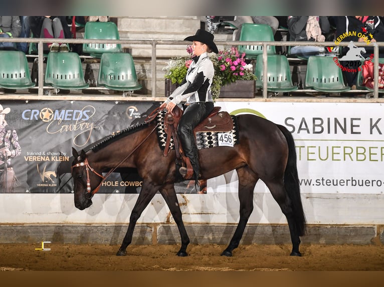 American Quarter Horse Klacz 11 lat 154 cm Gniada in Walldorf