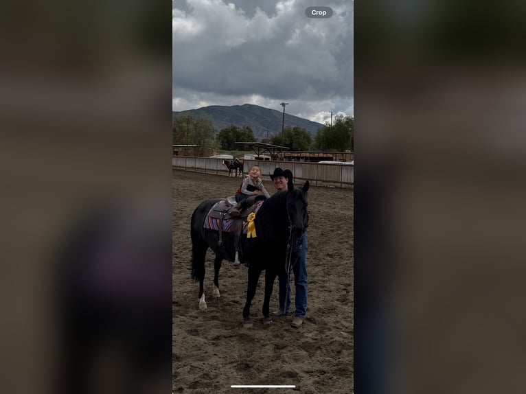 American Quarter Horse Klacz 12 lat 147 cm Kara in Hemet