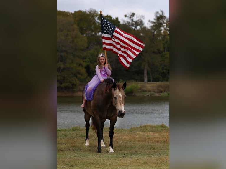 American Quarter Horse Klacz 13 lat 152 cm Jelenia in Forney