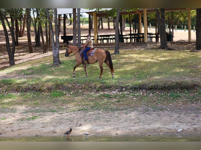 American Quarter Horse Klacz 15 lat 152 cm Bułana in Terrell