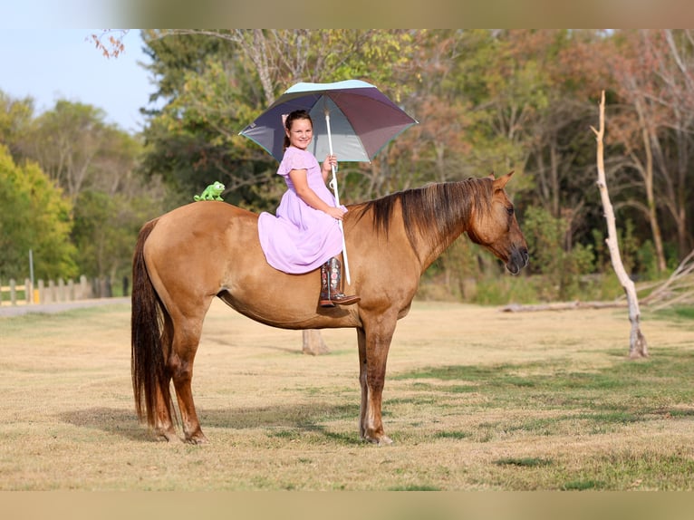 American Quarter Horse Klacz 15 lat 152 cm Bułana in Terrell