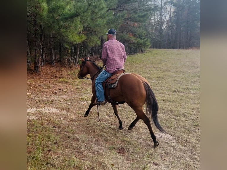 American Quarter Horse Klacz 3 lat 150 cm Bułana in Bloomburg, TX