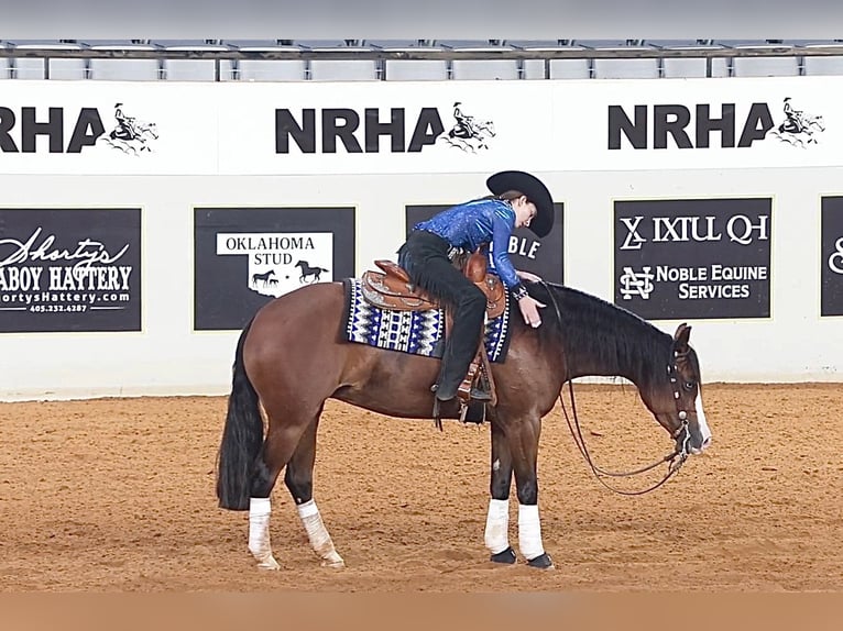 American Quarter Horse Klacz 4 lat 152 cm Gniada in Whitesboro
