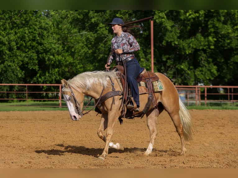 American Quarter Horse Klacz 4 lat Izabelowata in Rusk