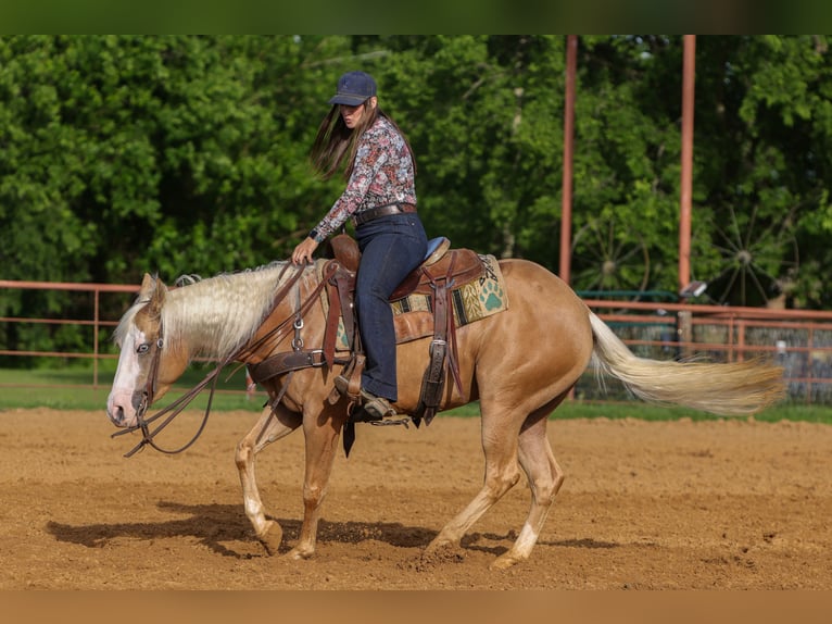 American Quarter Horse Klacz 4 lat Izabelowata in Rusk