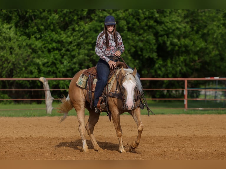 American Quarter Horse Klacz 4 lat Izabelowata in Rusk