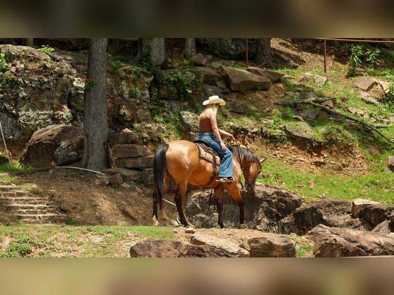 American Quarter Horse Klacz 4 lat Jelenia in Quitman