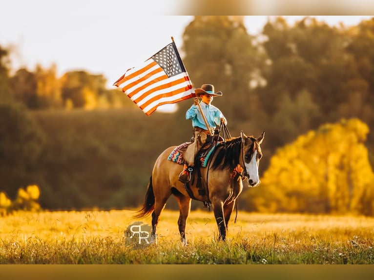 American Quarter Horse Klacz 5 lat 152 cm Bułana in Lyles, TN