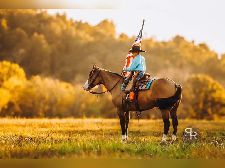 American Quarter Horse Klacz 5 lat 152 cm Bułana in Lyles, TN