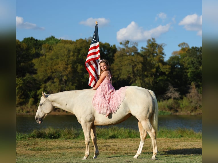 American Quarter Horse Klacz 6 lat 147 cm Izabelowata in Forney