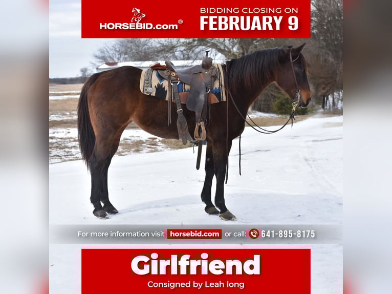 American Quarter Horse Klacz 6 lat 152 cm Gniada in Sulphur Springs