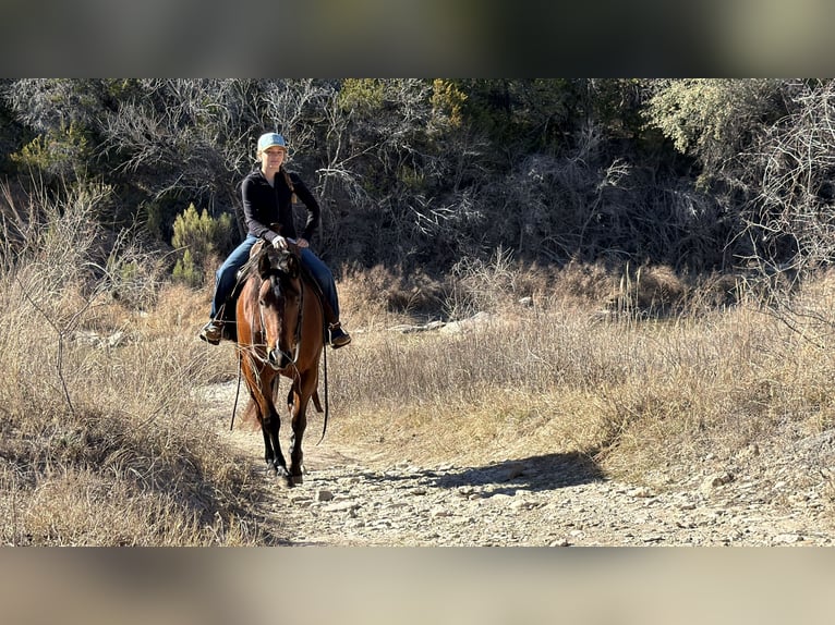 American Quarter Horse Klacz 7 lat 147 cm Gniada in Cleburne