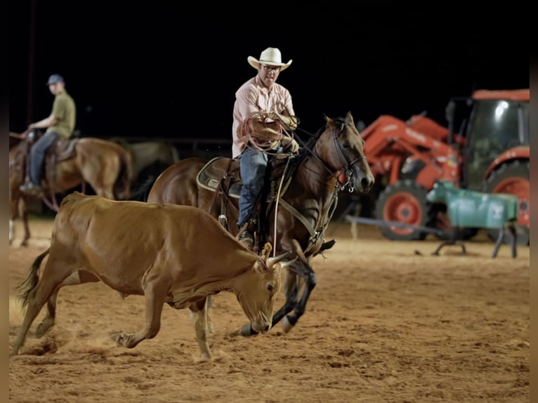 American Quarter Horse Klacz 7 lat Gniada in Weatherford