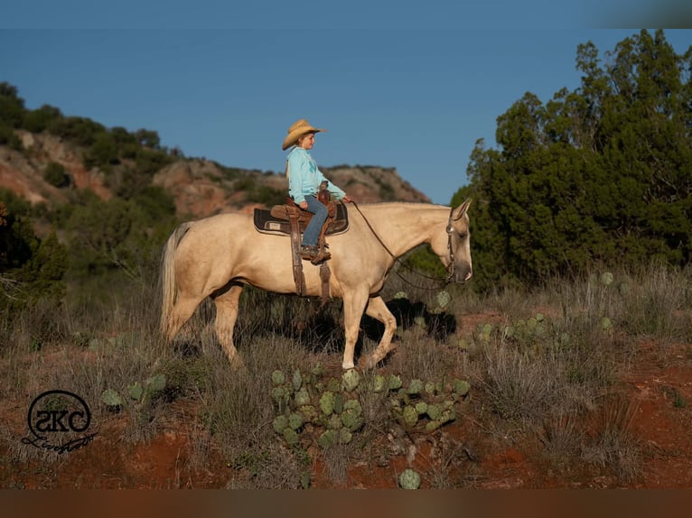 American Quarter Horse Klacz 7 lat Izabelowata in Canyon