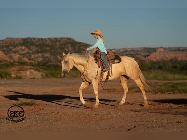 American Quarter Horse Klacz 7 lat Izabelowata in Canyon