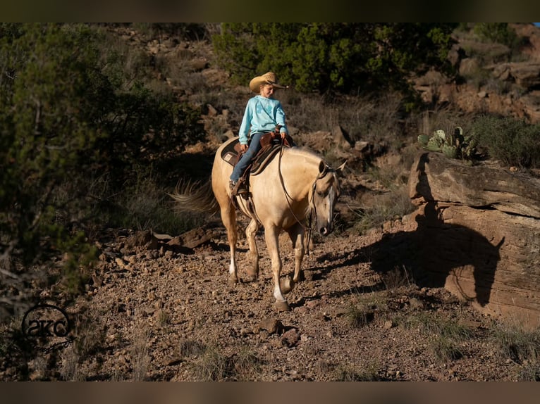 American Quarter Horse Klacz 7 lat Izabelowata in Canyon