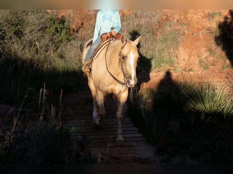 American Quarter Horse Klacz 7 lat Izabelowata in Canyon