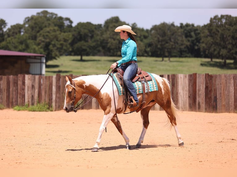 American Quarter Horse Klacz 7 lat Tobiano wszelkich maści in Adair OK