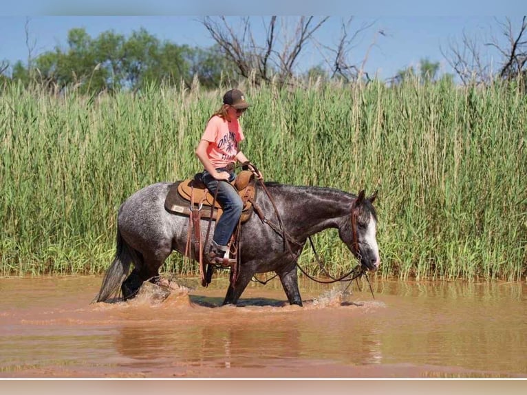 American Quarter Horse Klacz 8 lat 152 cm Siwa in Canyon, TX