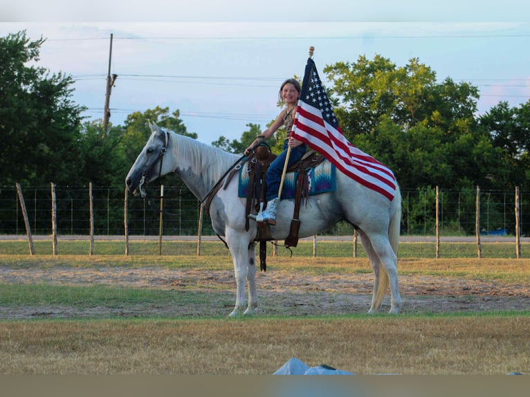 American Quarter Horse Klacz 9 lat 152 cm Tobiano wszelkich maści in Stephenville TX