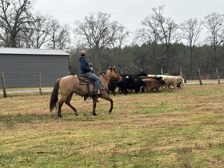 American Quarter Horse Mare 10 years 14,3 hh in Carthage, TX