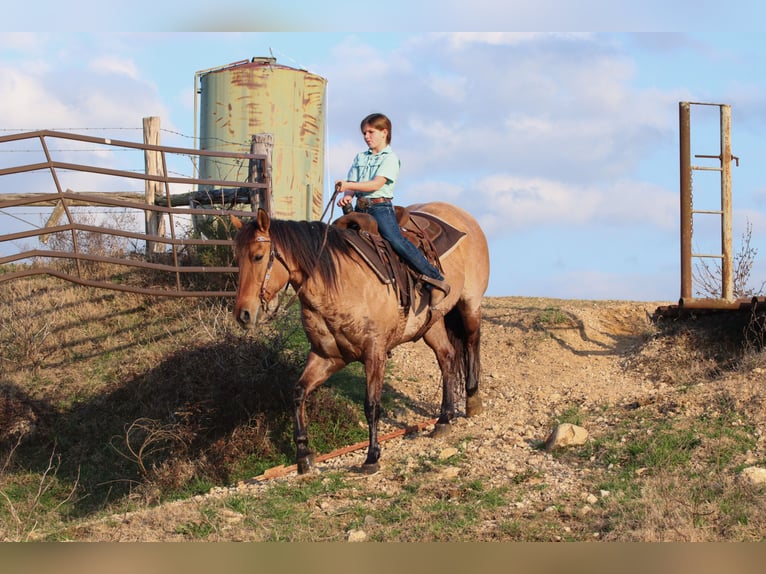 American Quarter Horse Mare 10 years 14,3 hh in Carthage, TX