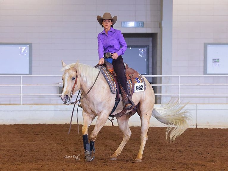 American Quarter Horse Mare 10 years 15.1 hh Palomino in Vidalia
