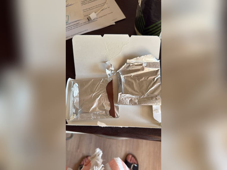 American Quarter Horse Mare 11 years 14,3 hh Palomino in SulzbergSulzberg