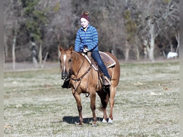 American Quarter Horse Mare 12 years 14 hh Dun in Weatherford, TX