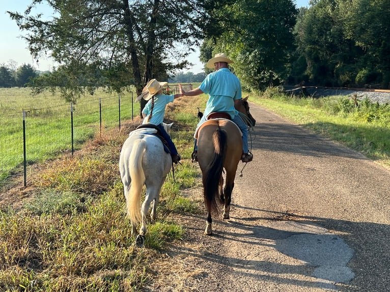 American Quarter Horse Mare 12 years 15,1 hh Dun in Bloomburg, TX