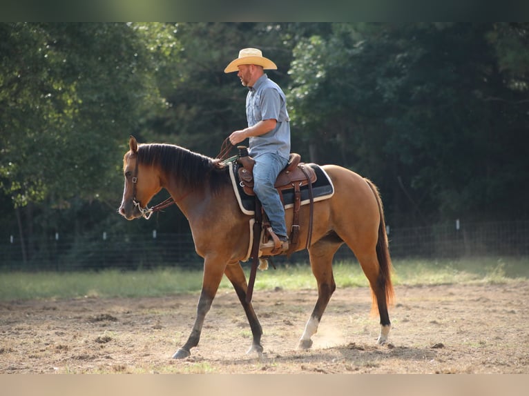 American Quarter Horse Mare 12 years 15,1 hh Dun in Bloomburg, TX