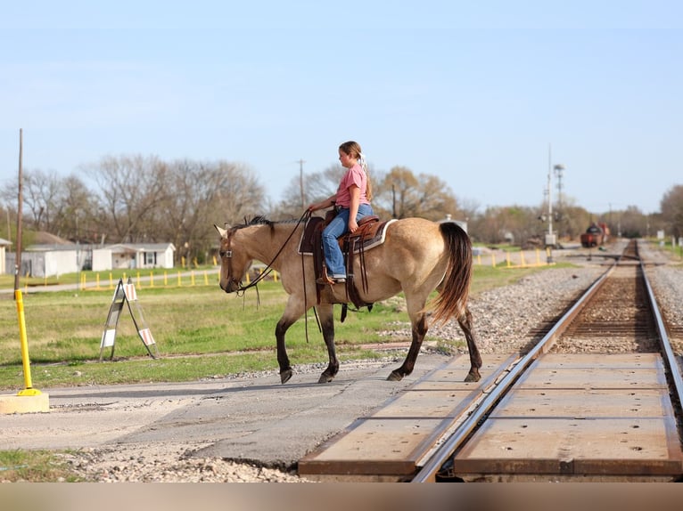 American Quarter Horse Mare 12 years Buckskin in Forney