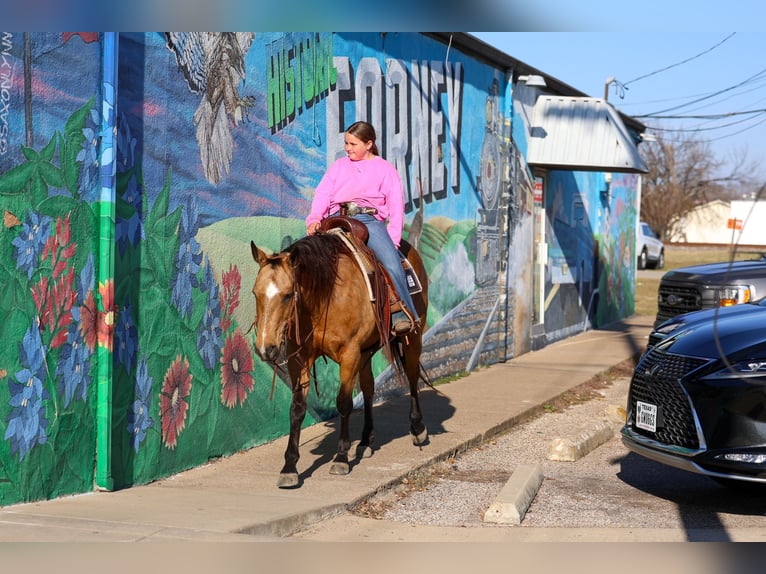 American Quarter Horse Mare 13 years 14.3 hh Buckskin in Forney, TX