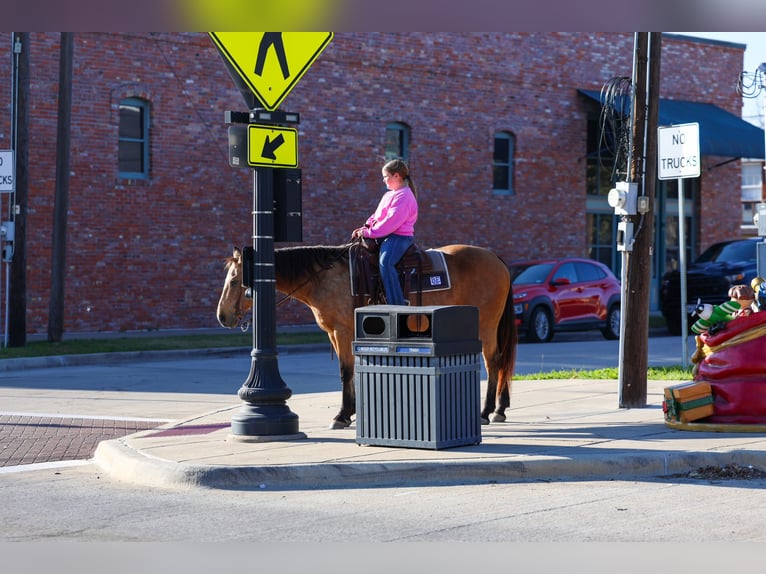 American Quarter Horse Mare 13 years 14,3 hh Buckskin in Forney, TX