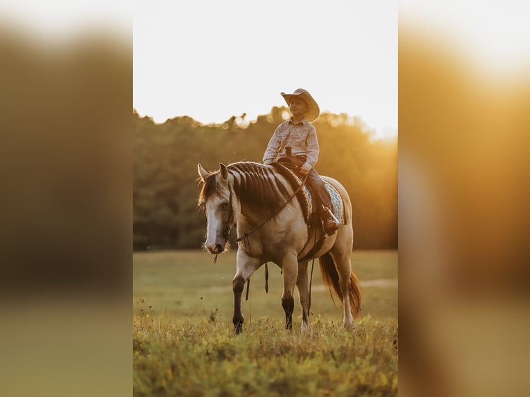 American Quarter Horse Mare 13 years 15 hh Buckskin in Lyles, TN