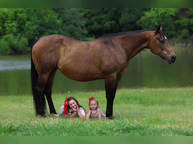 American Quarter Horse Mare 15 years 15 hh Bay in Forney