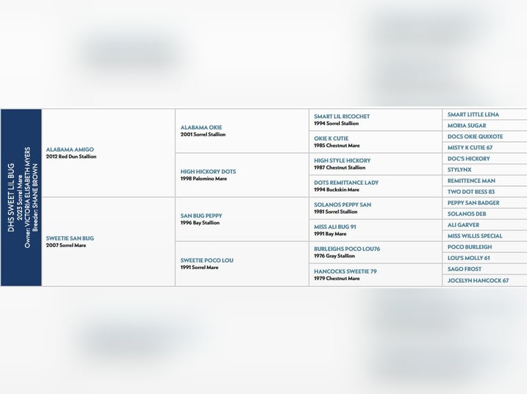 American Quarter Horse Mare 3 years 15 hh Sorrel in Geneva