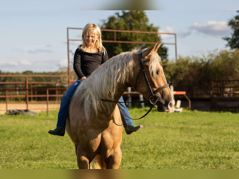 American Quarter Horse Mare 3 years 16 hh Palomino in Ocala