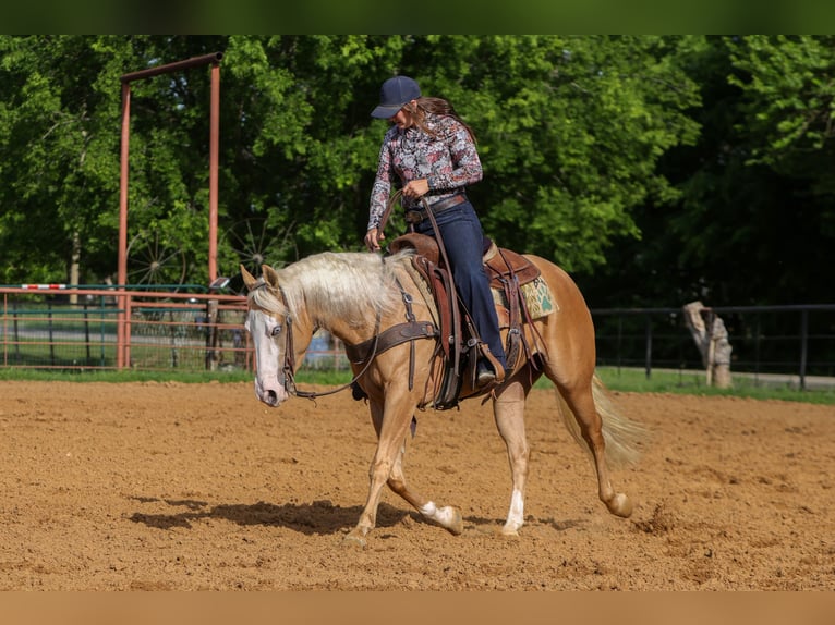 American Quarter Horse Mare 4 years Palomino in Rusk