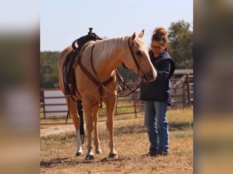 American Quarter Horse Mare 5 years 14,2 hh Palomino in Stephenville, TX