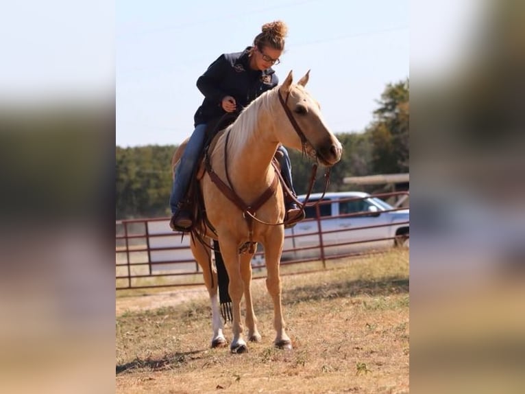 American Quarter Horse Mare 5 years 14,2 hh Palomino in Stephenville, TX