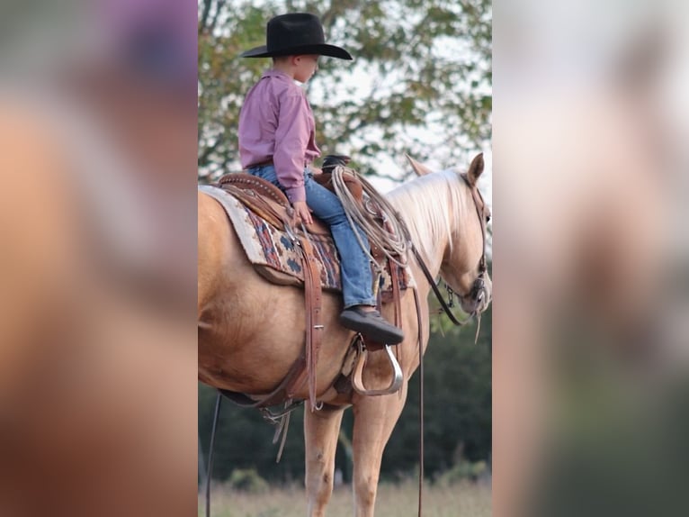 American Quarter Horse Mare 5 years 14,2 hh Palomino in Stephenville, TX