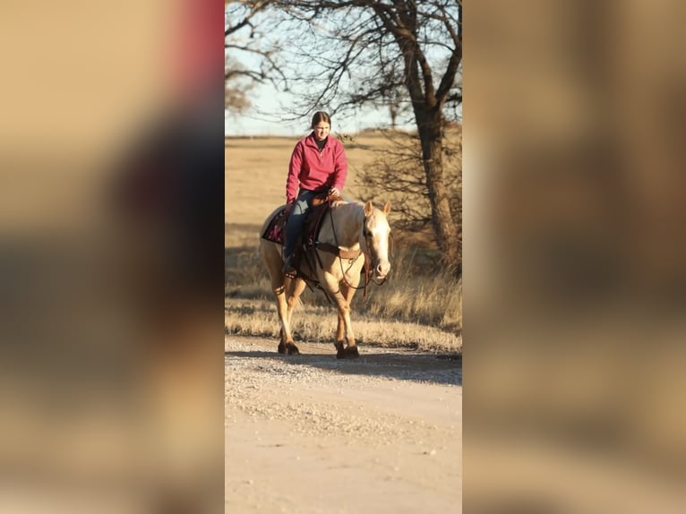 American Quarter Horse Mare 5 years 14.3 hh Palomino in Elgin