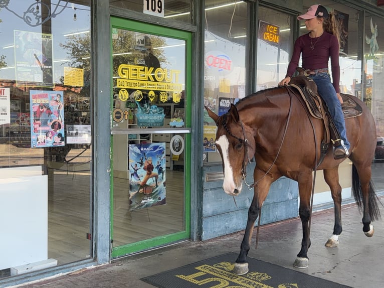 American Quarter Horse Mare 6 years 15,2 hh Bay in Cleburne