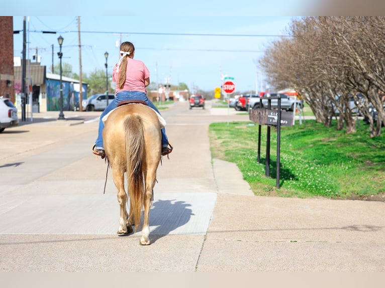 American Quarter Horse Mare 6 years 15 hh Champagne in Forney