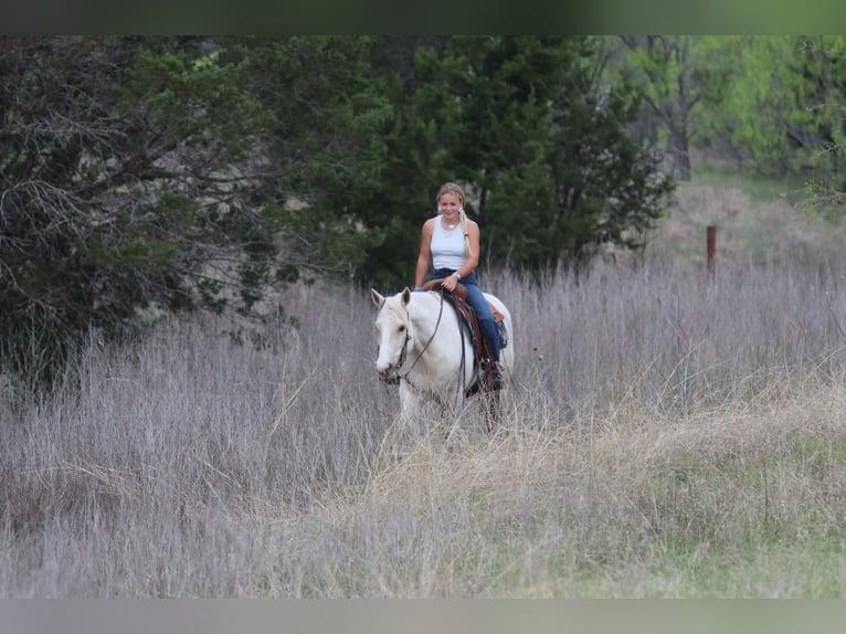 American Quarter Horse Mare 6 years 15 hh Palomino in Mineral Wells