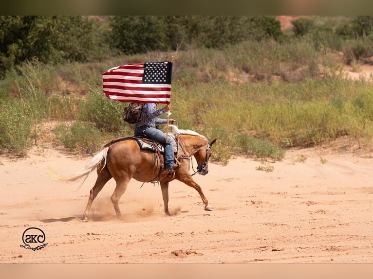 American Quarter Horse Mare 6 years 15,1 hh Palomino in Canyon