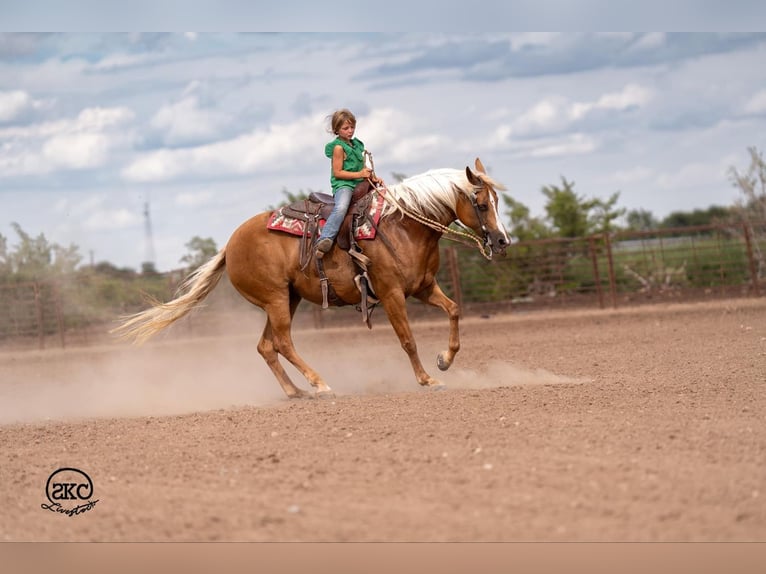American Quarter Horse Mare 6 years 15,1 hh Palomino in Canyon